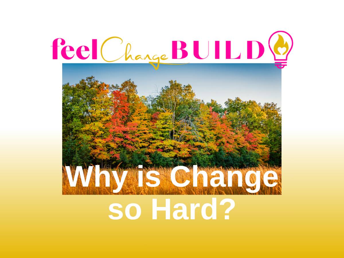 Trees changing color