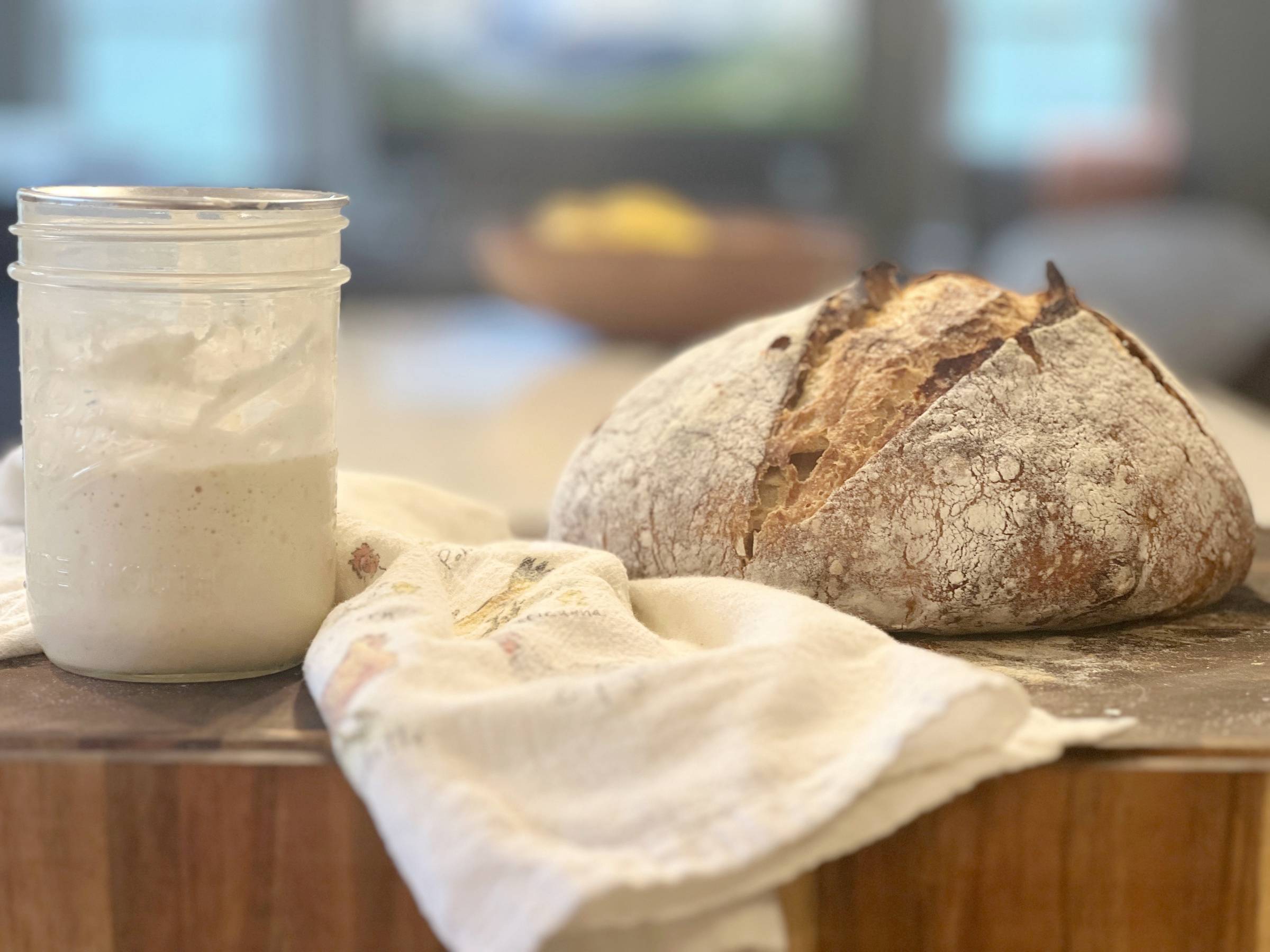Sourdough: From Starter to Your First Loaf