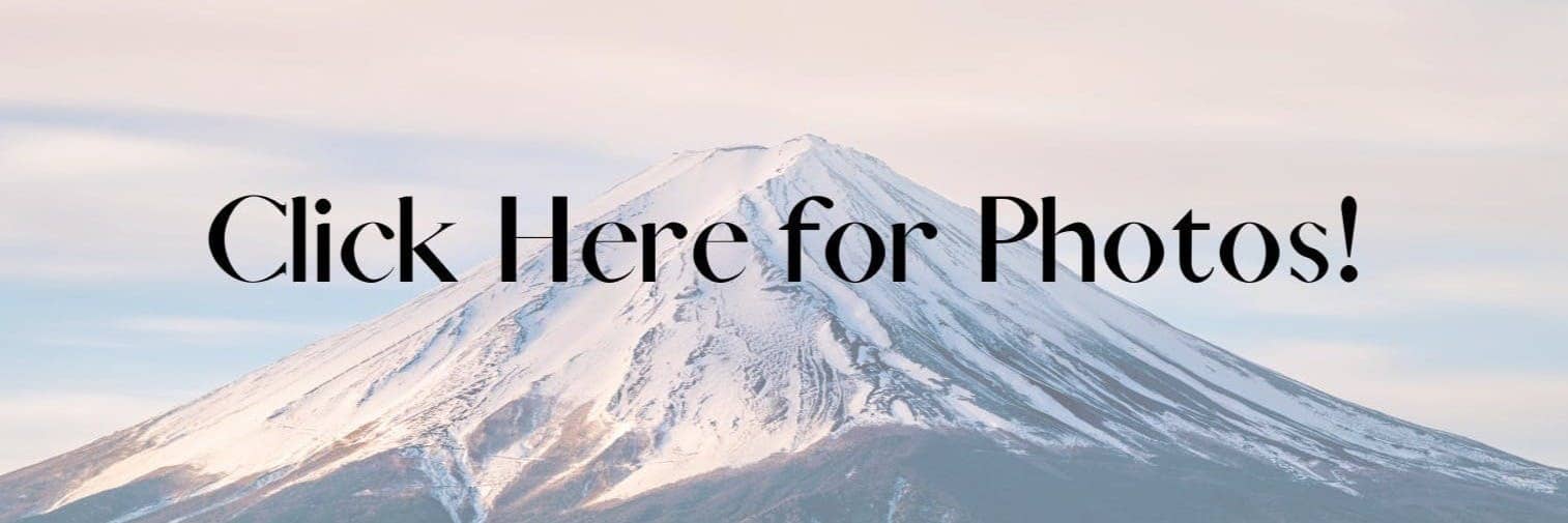 Mt. Fuji