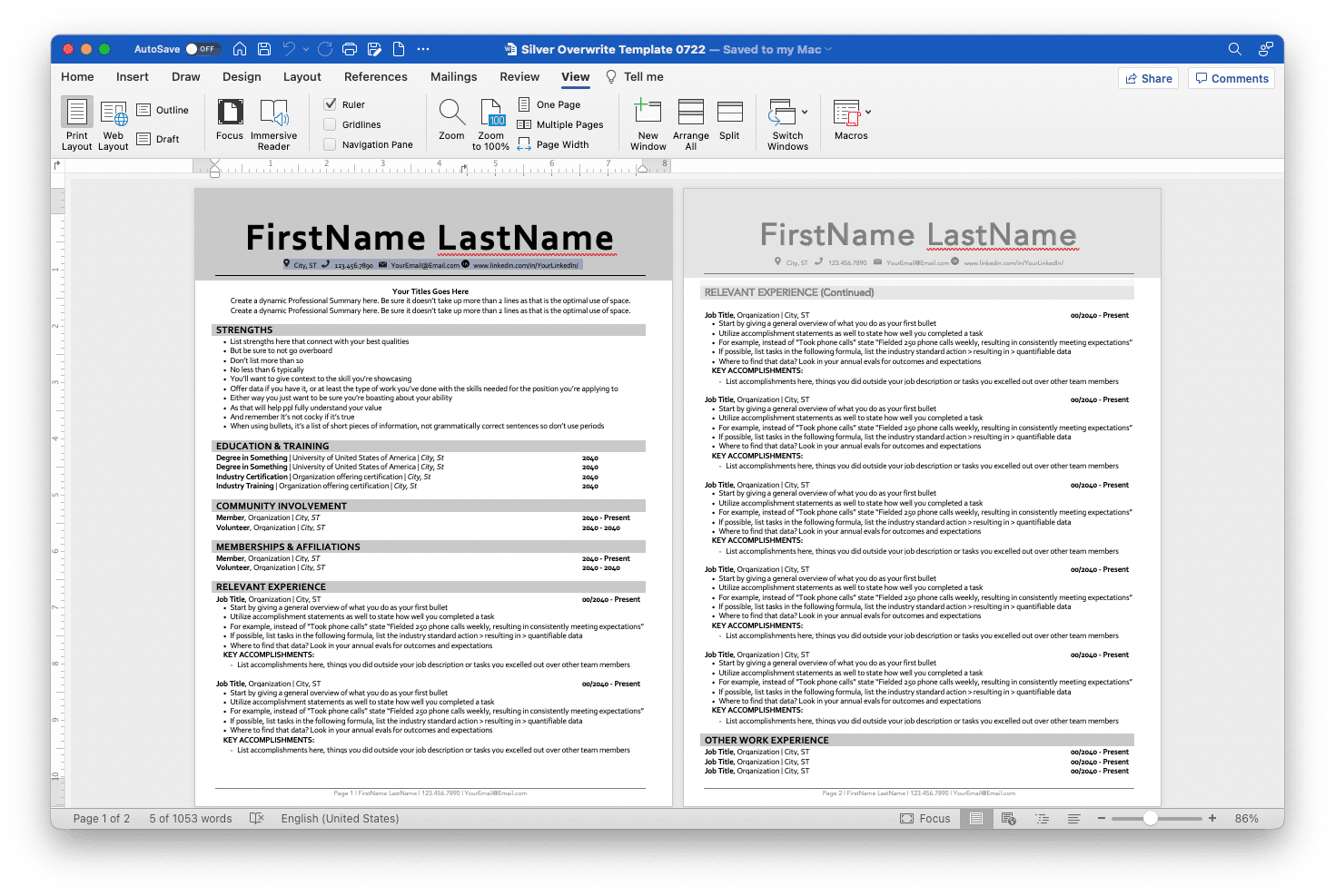 Silver Overwrite Resume Template