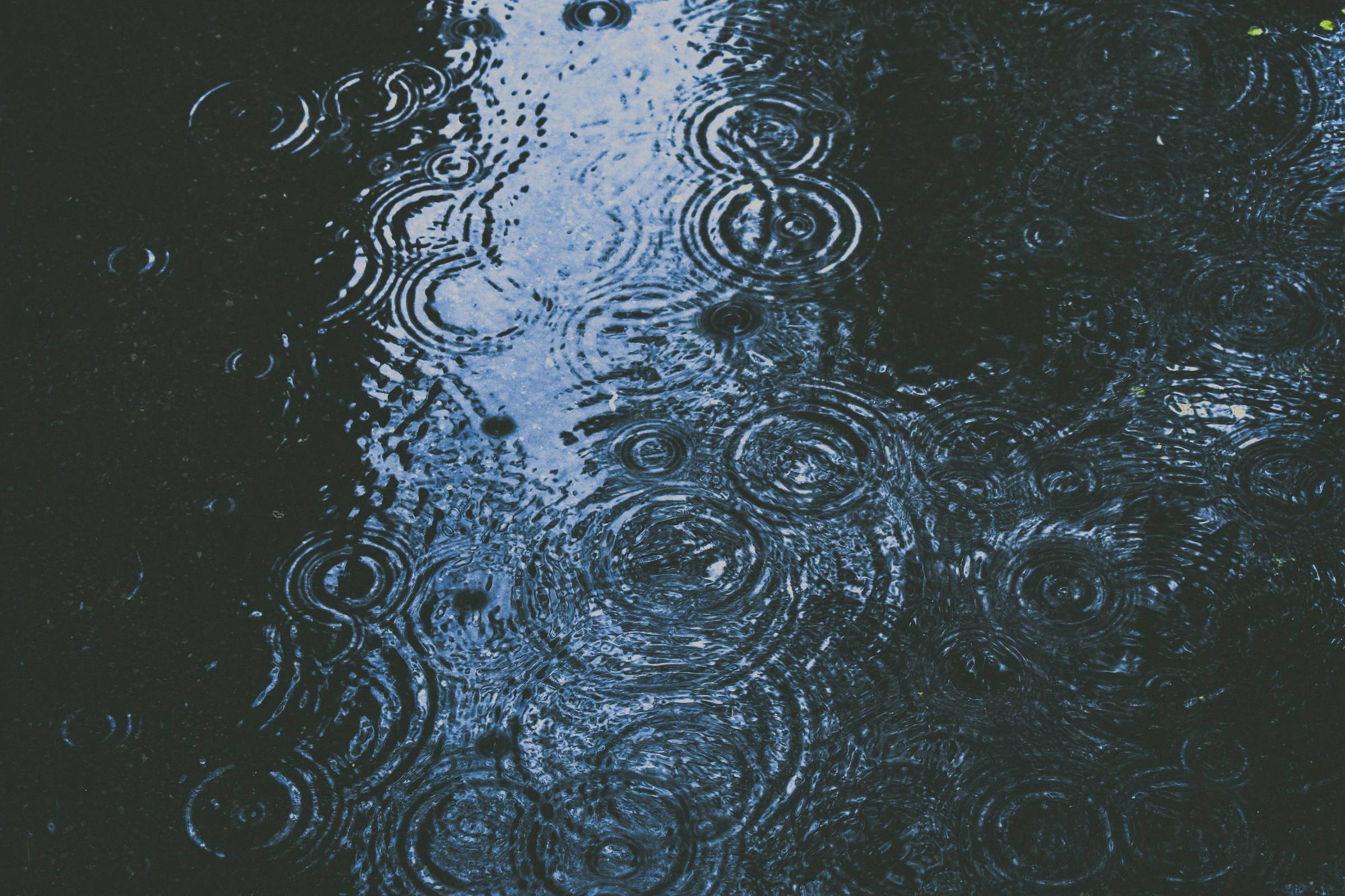 Rain drops on the surface of a pond, with lots of ripples