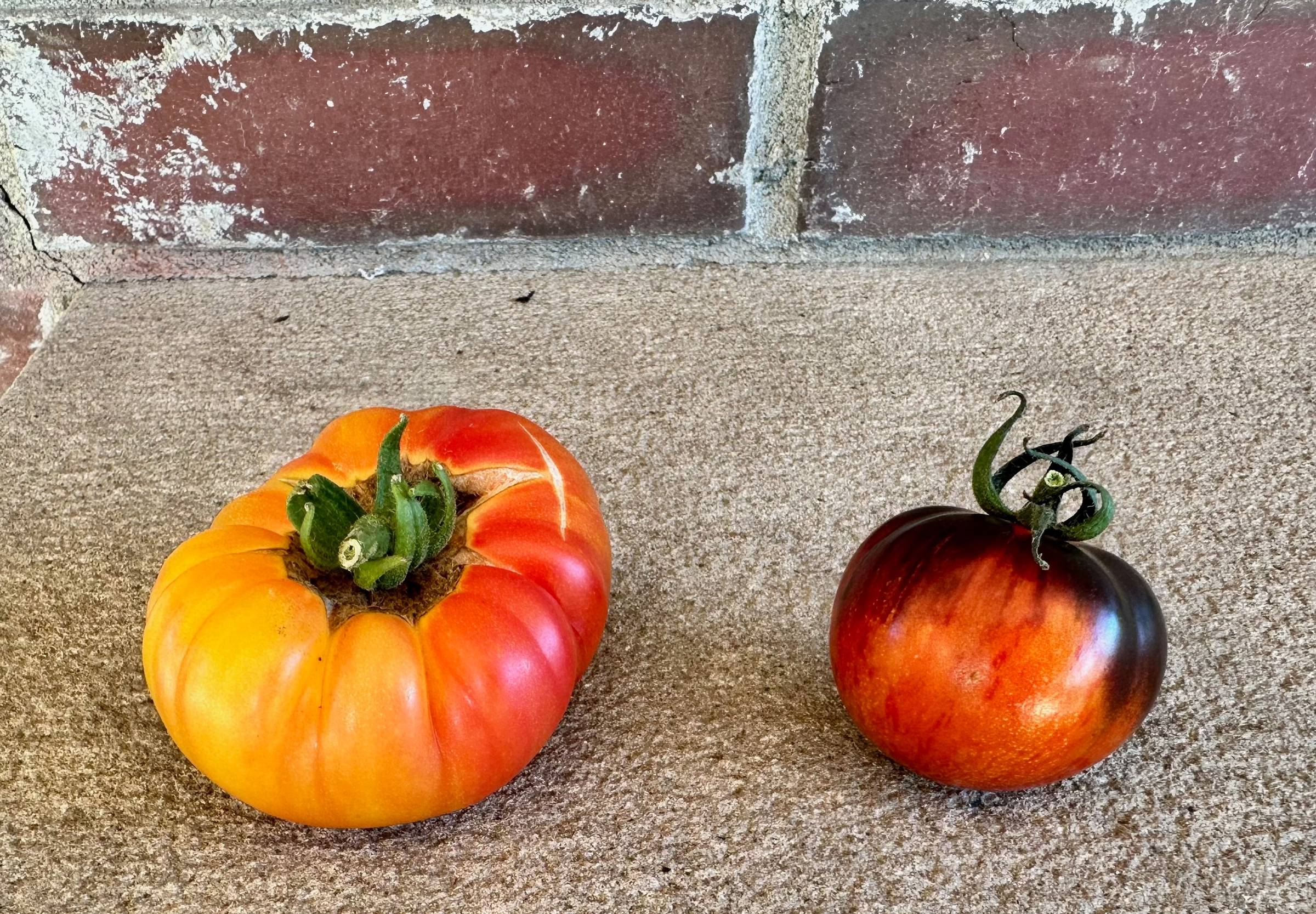 Two brightly colored tomatoes on a concrete ledge