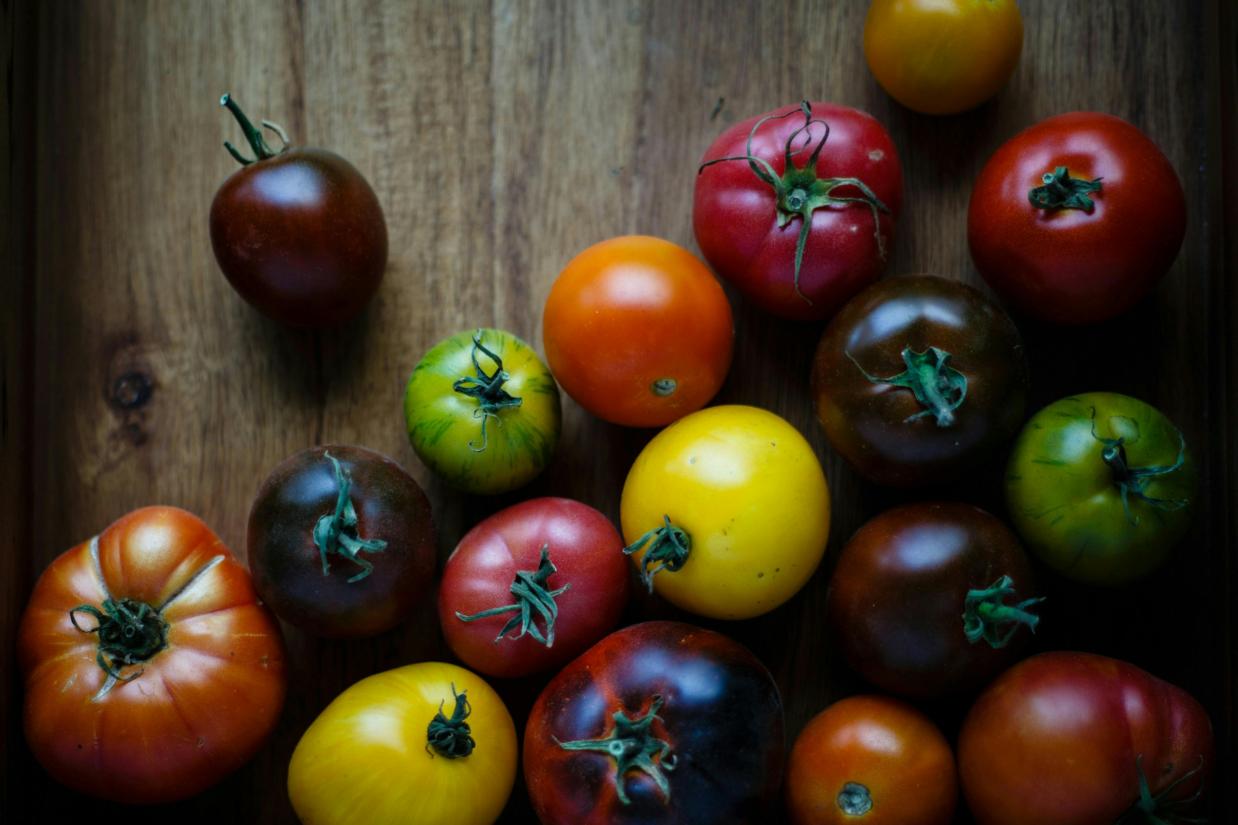 A collection of heirloom tomatoes