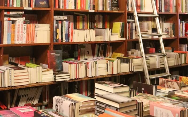 Quotes to Inspire: Words from C.S. Lewis