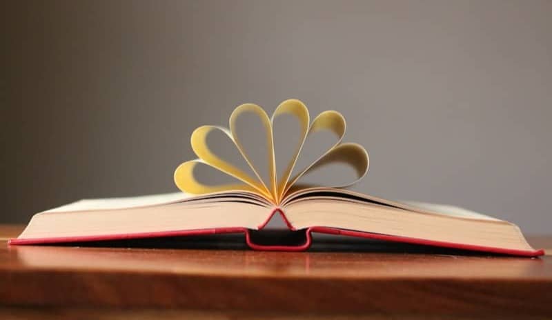 Opened book with its pages curled upwards.