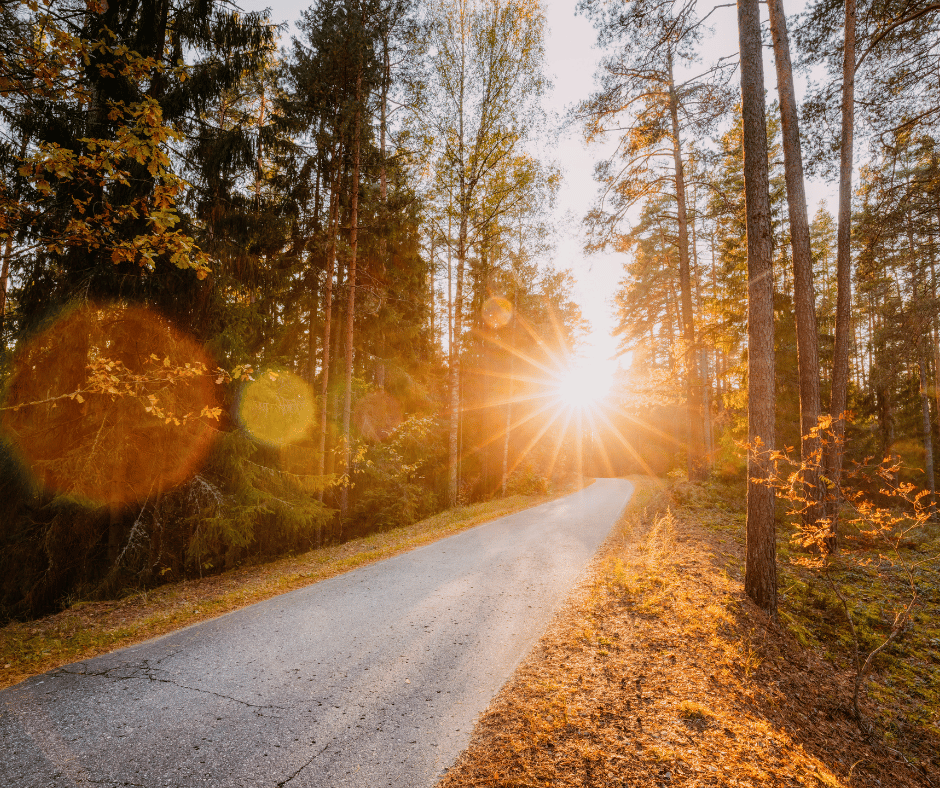 road through woods towards setting sun