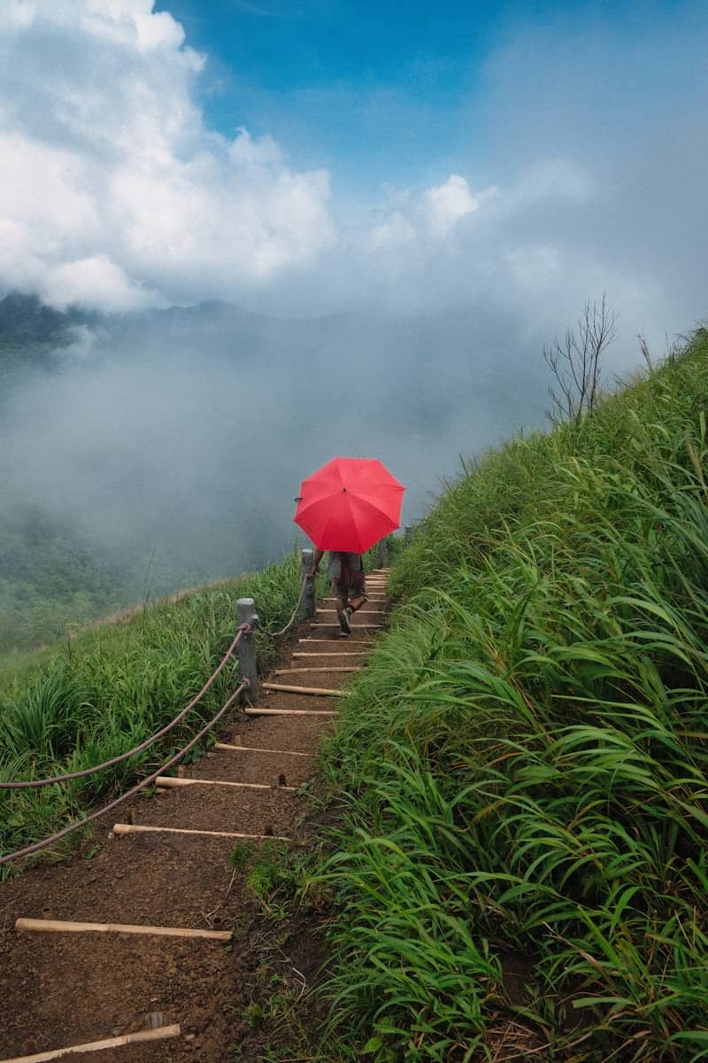 Hiker with red umbrella ascends a foggy, grassy mountain path.