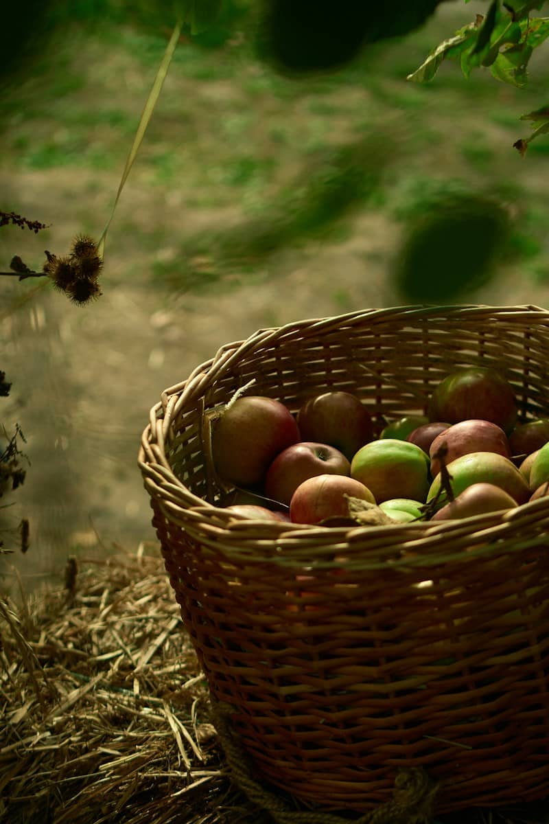 A wicker basket filled with red and green apples on a bed of straw