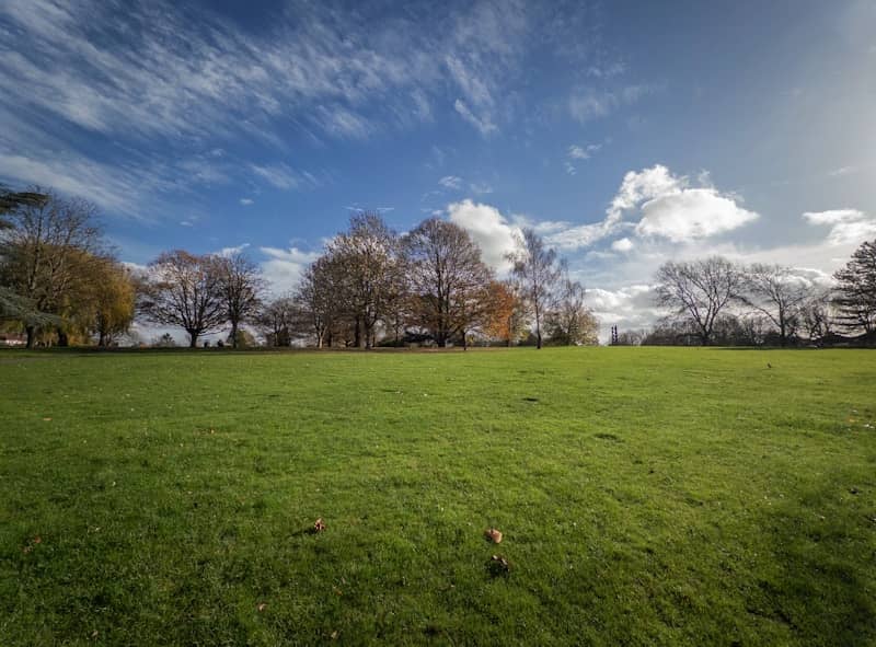 Grassy field with trees under a cloudy blue sky