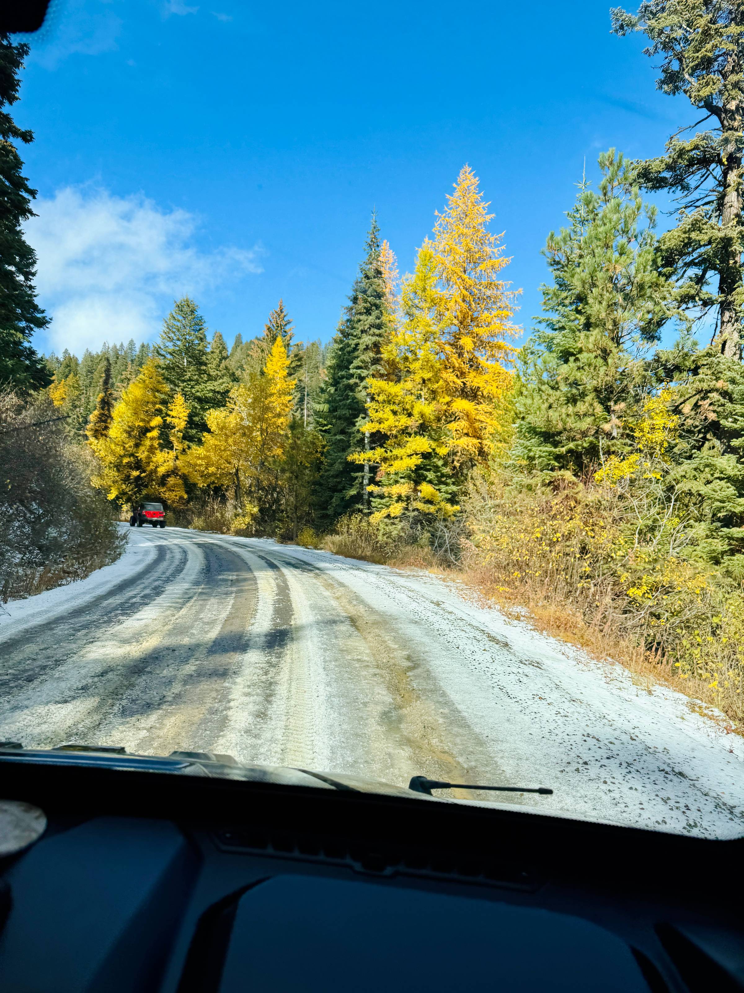fall trees with a road covered in light snow