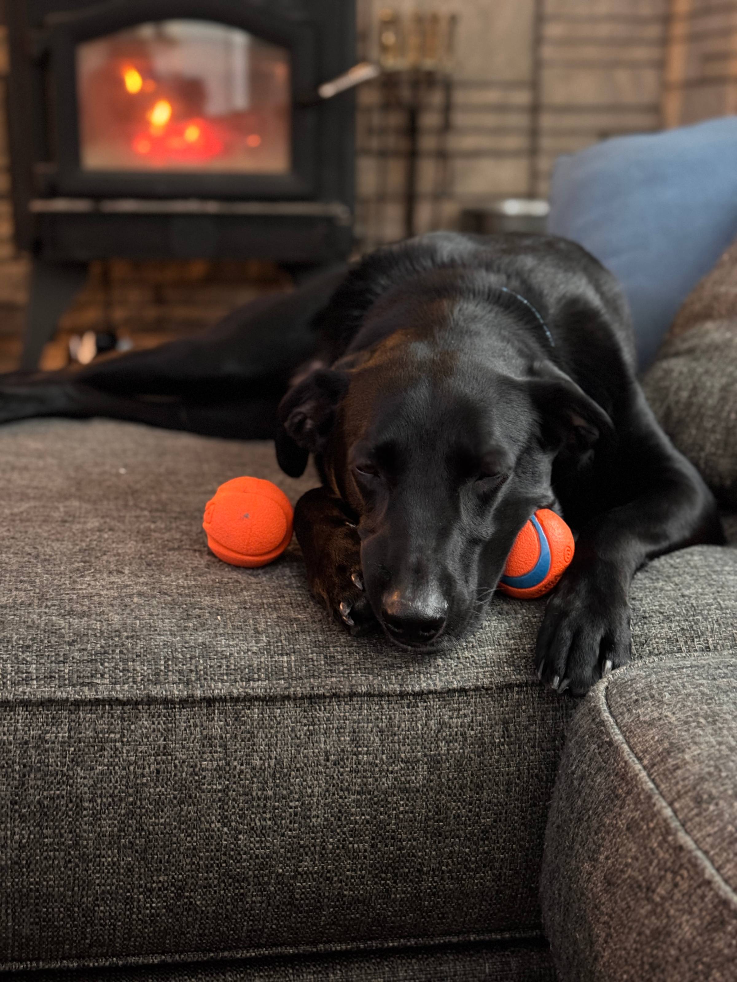 Dog sleeping by the fire with two tennis balls