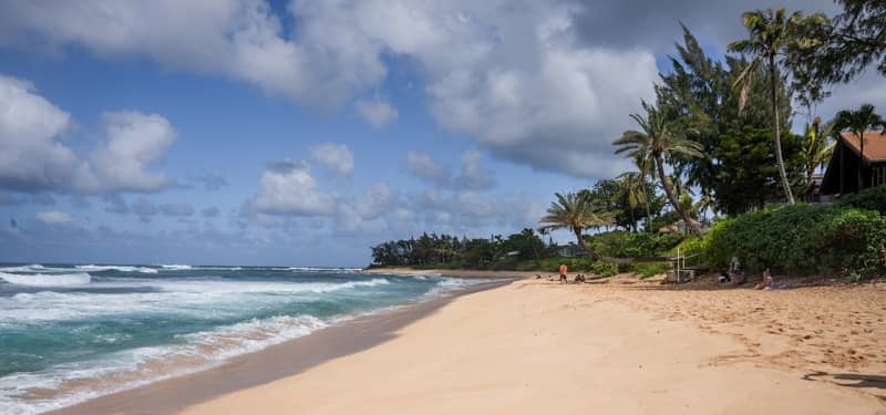 A tropical beach with palm trees and ocean waves.