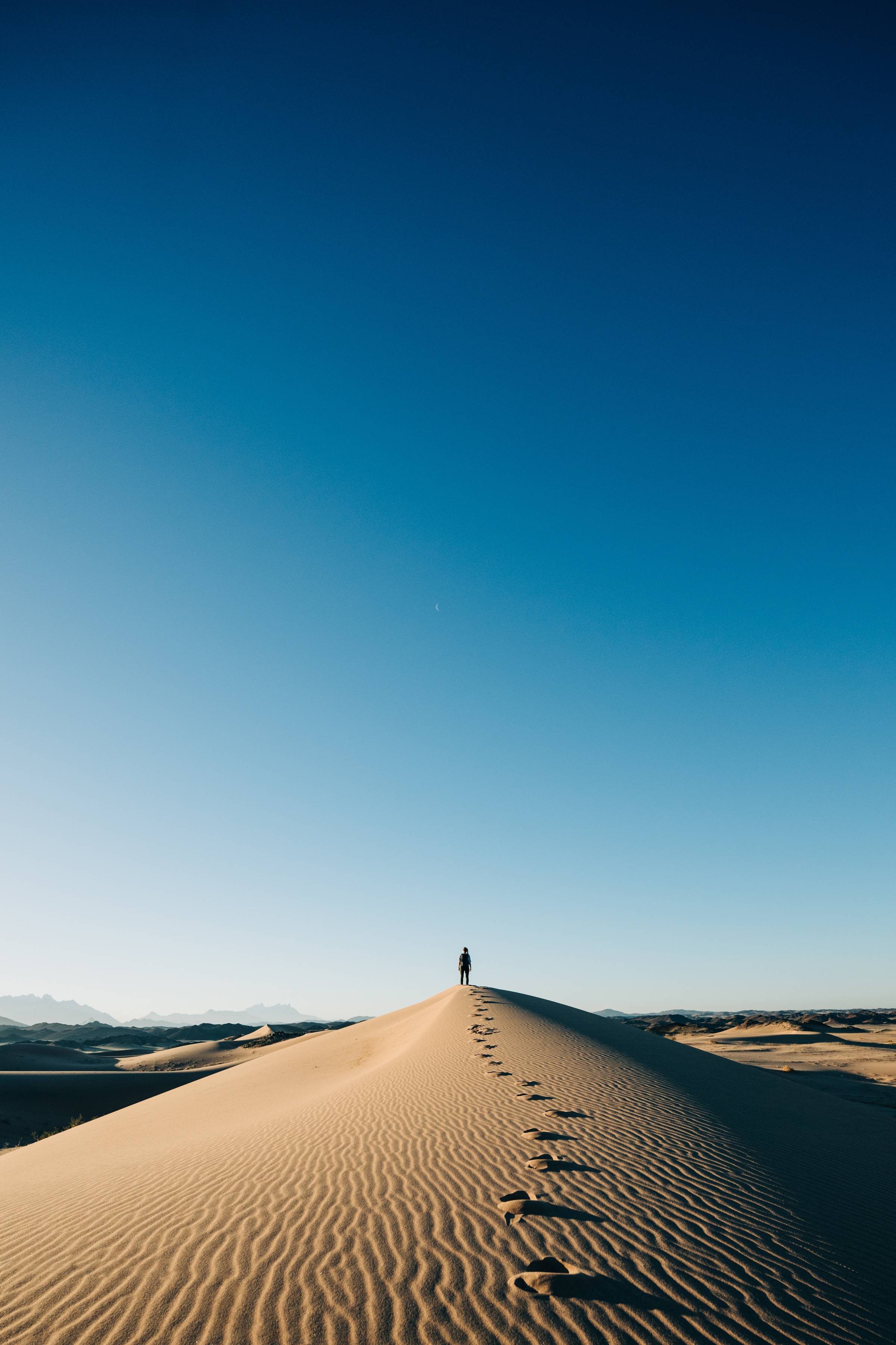 A person wandering in the desert.