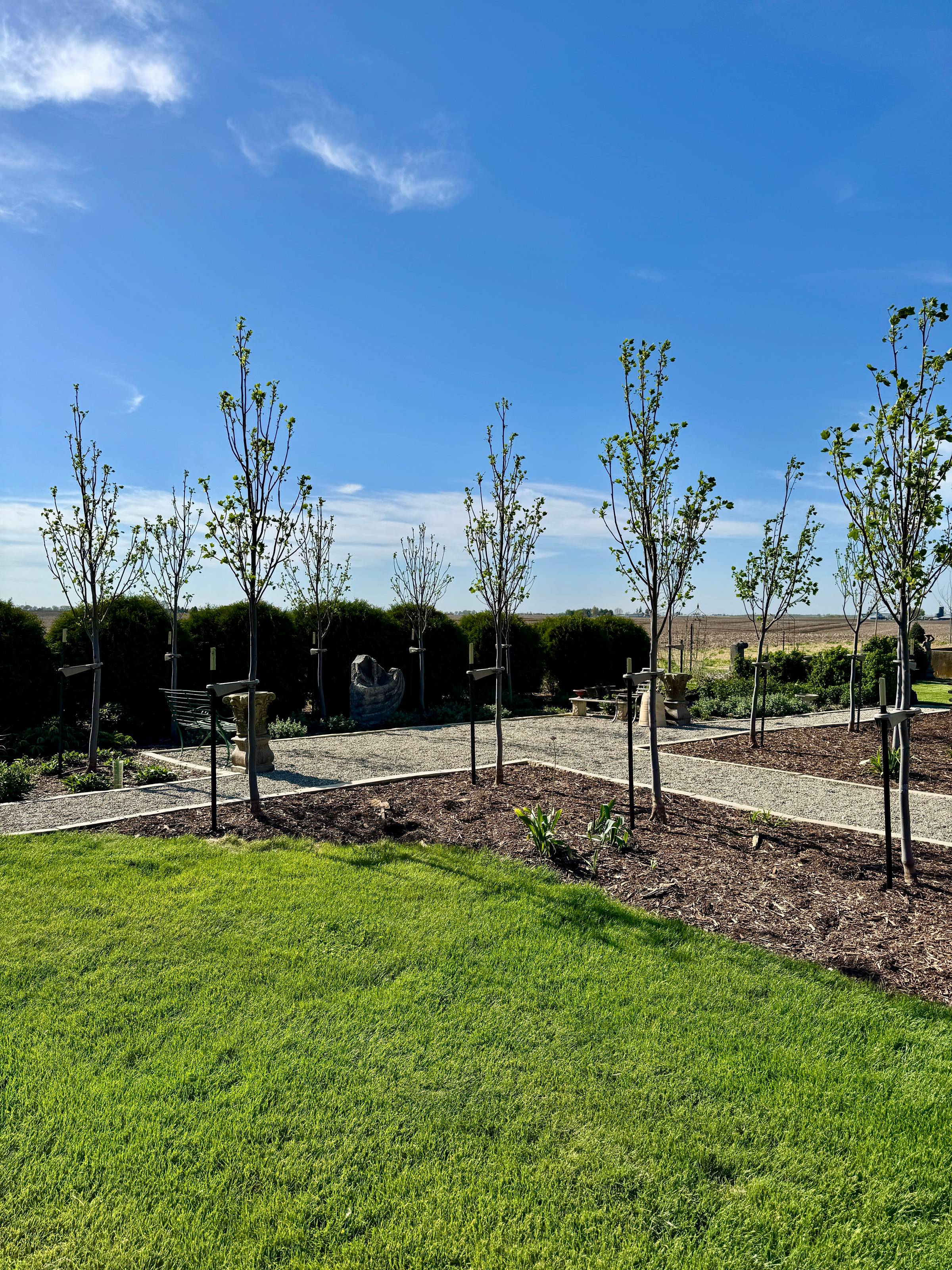 18 new trees planted in flowerbeds.