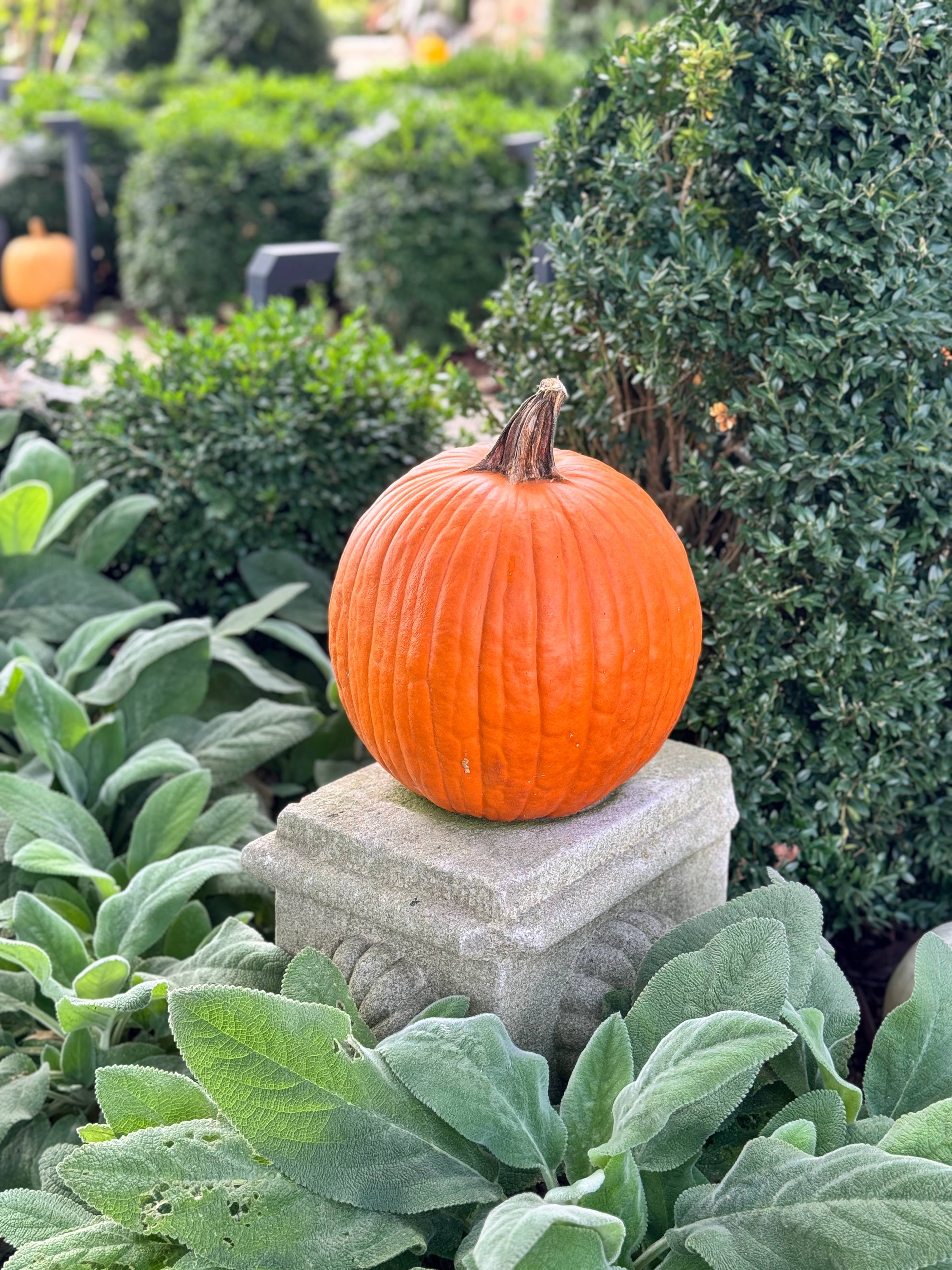 A single pumpkin sitting on a concrete stand.