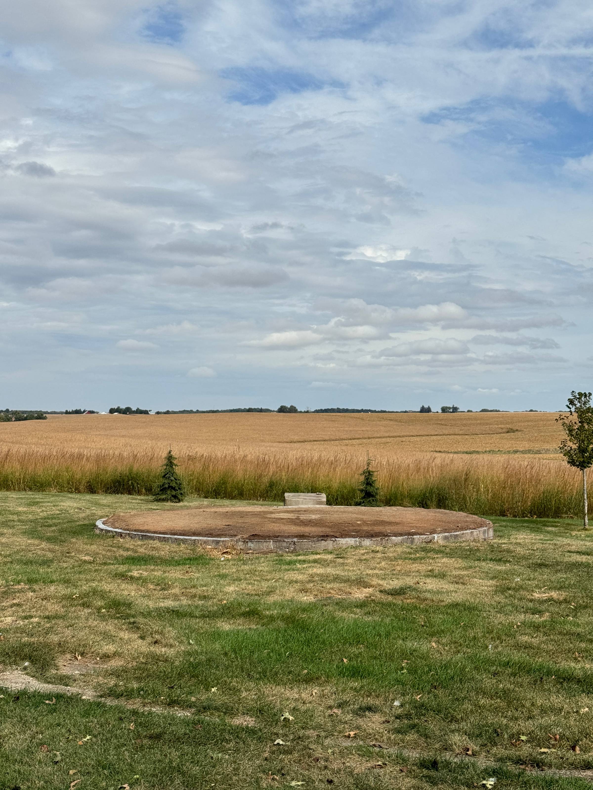 Yard with soybeans in background and blue sky.