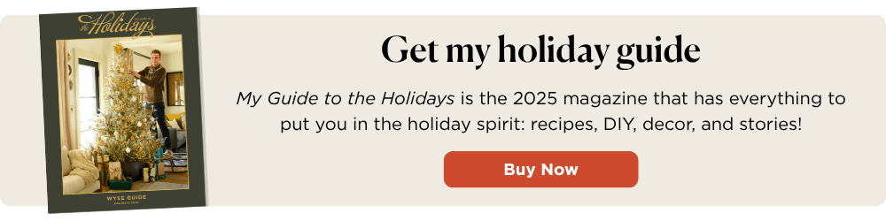 Cover of Wyse Guide holiday guide.