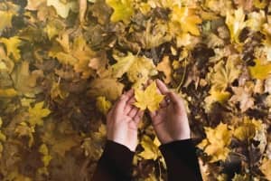 tips for seasonal depression