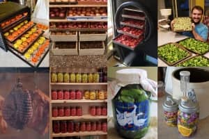 food preservation methods