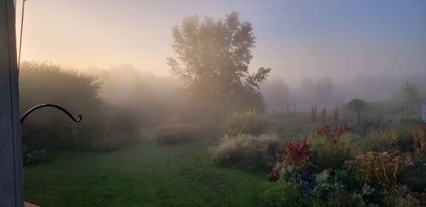 autumn morning