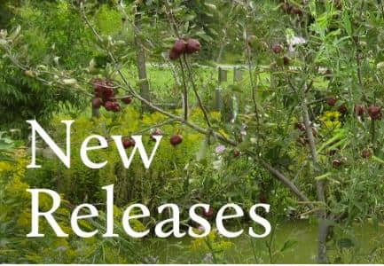 New Releases