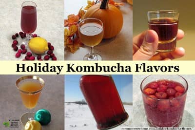 kombucha holiday flavor ideas