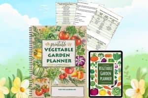 Vegetable Garden Planner