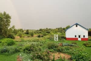 why we plant gardens