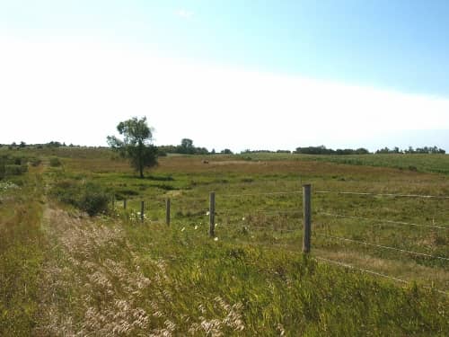 Our future home site