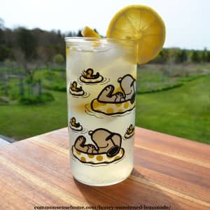 honey sweetened lemonade