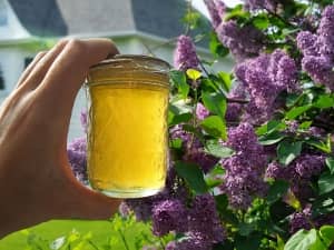 lilac jelly