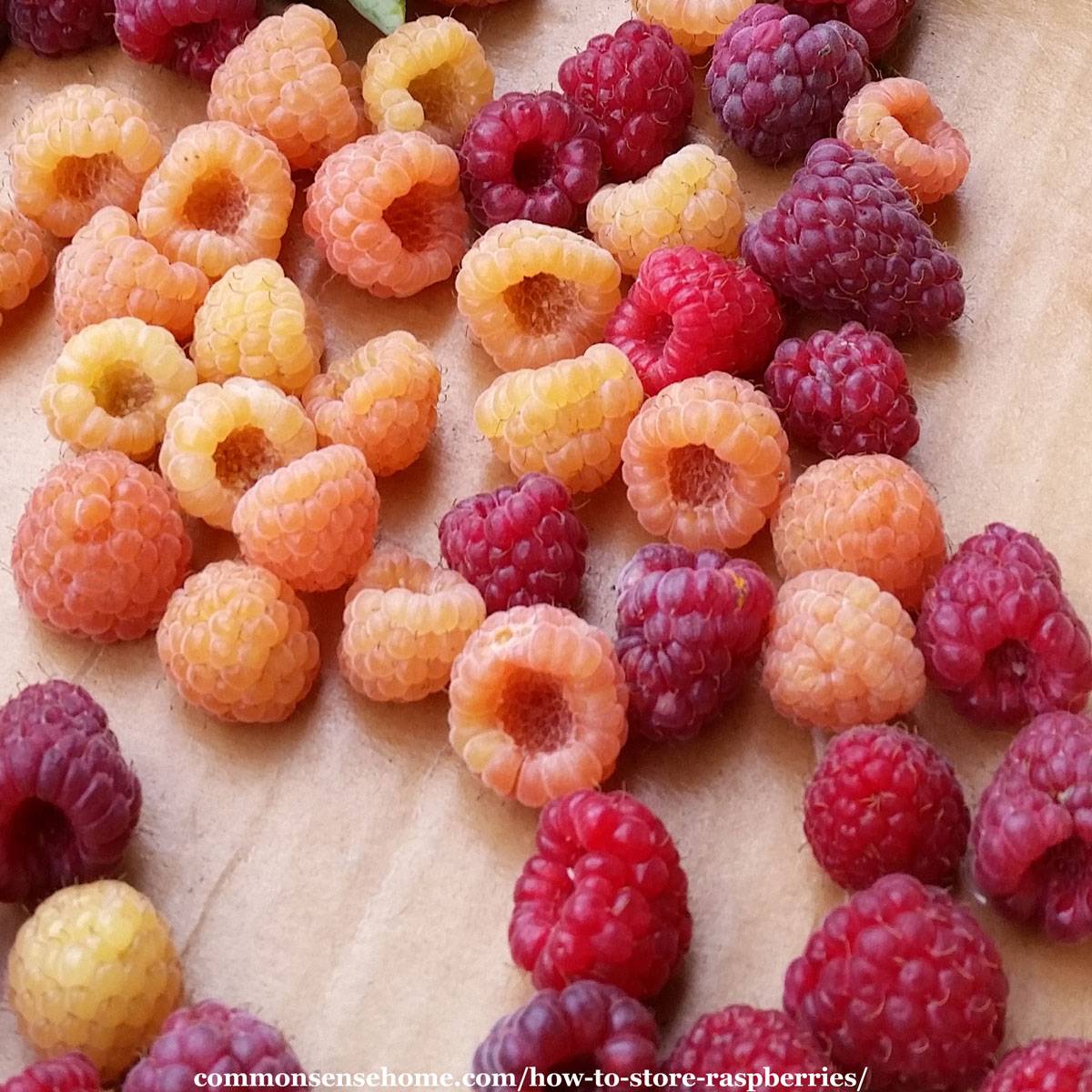 how to store raspberries