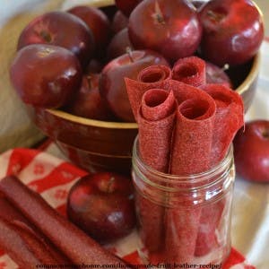 homemade fruit leather