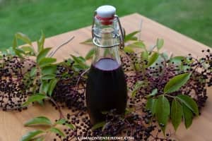 homemade elderberry syrup