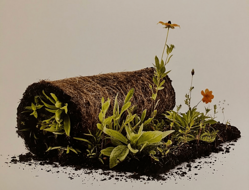 Meadow sod, spring resourcs and more