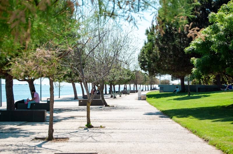 Pathway along a waterfront with trees and benches.