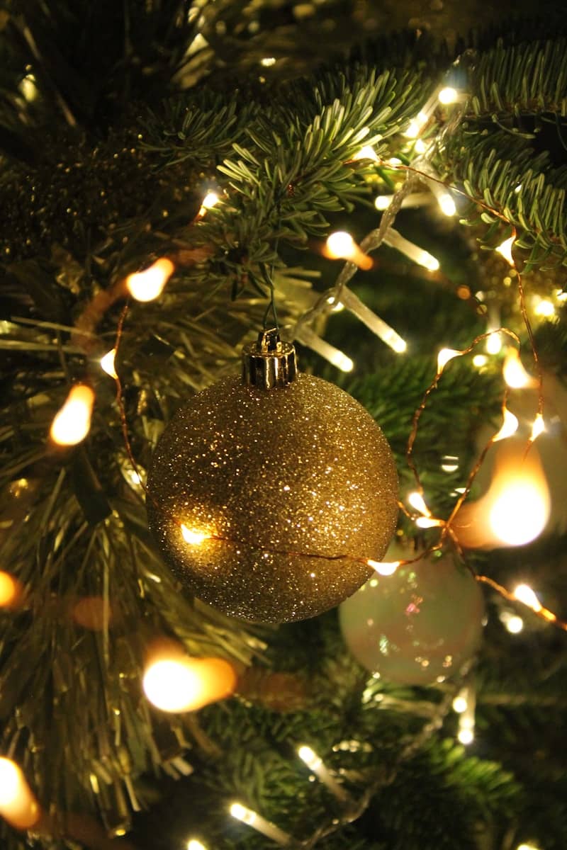 A close up of a christmas tree with lights