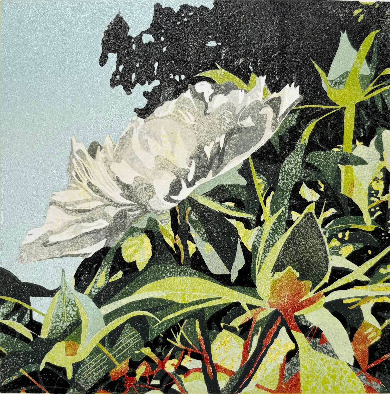 A linocut print of a peony flower