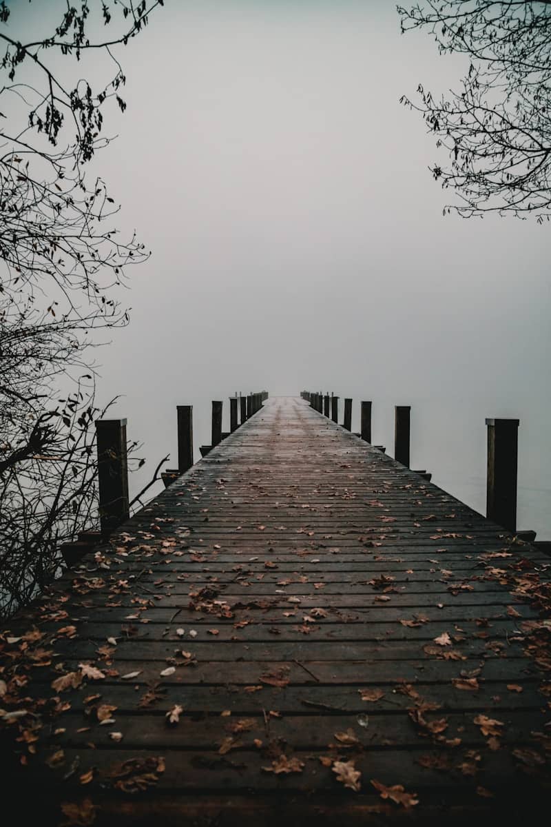 A wooden dock with a few leaves on the ground