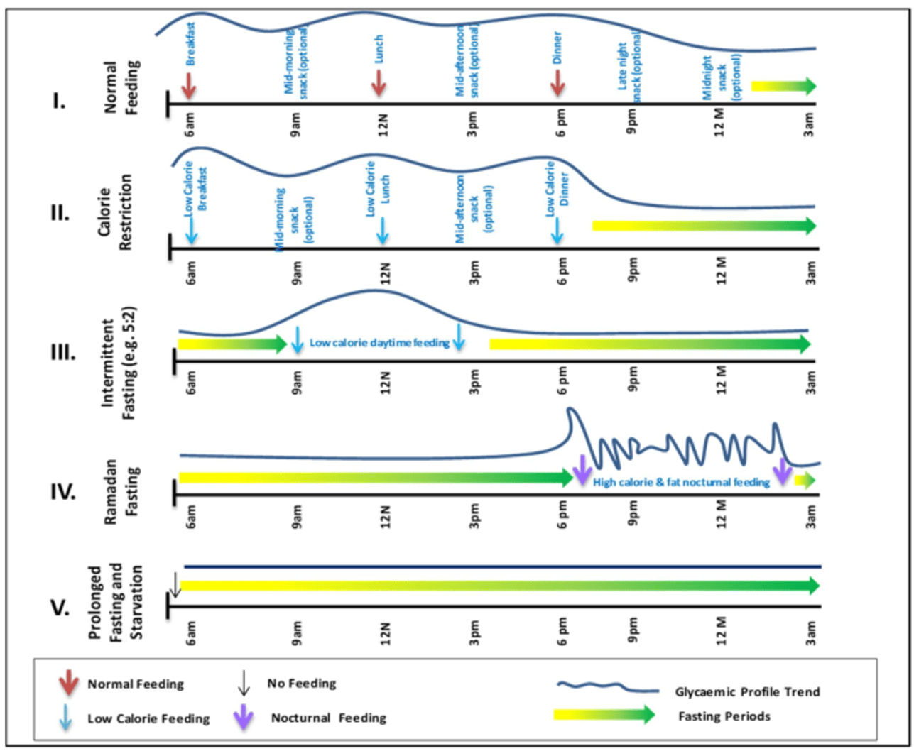 The figure below shows what are the different types of fasts, and what are the different times during that fast that you can eat