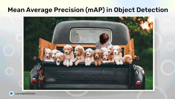 Mean Average Precision (mAP) for Object Detection