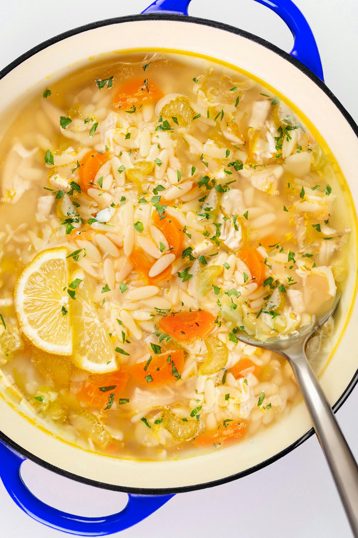 lemon orzo soup with carrots, chicken, celery, and lemon slices