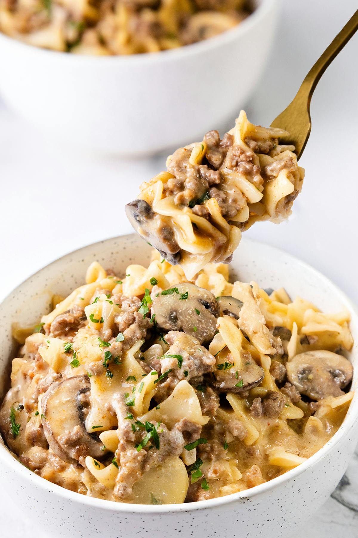 a delicious bowl of stroganoff with noodles, beef, and mushrooms