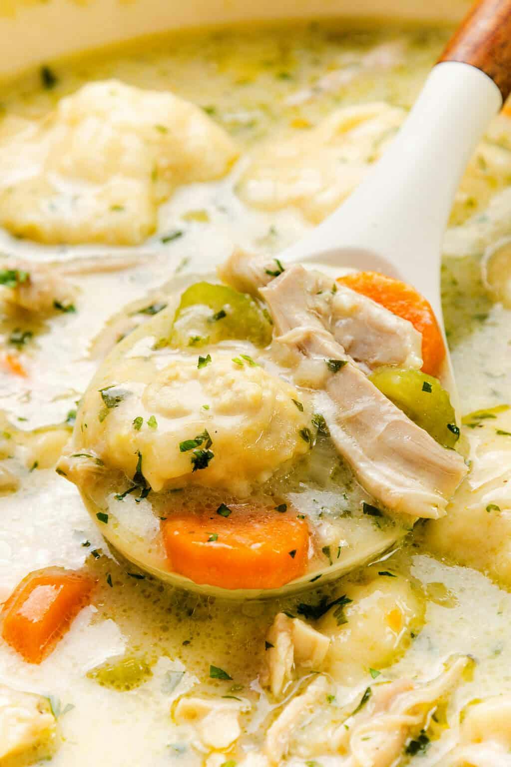 chicken and dumpling soup with carrots and celery