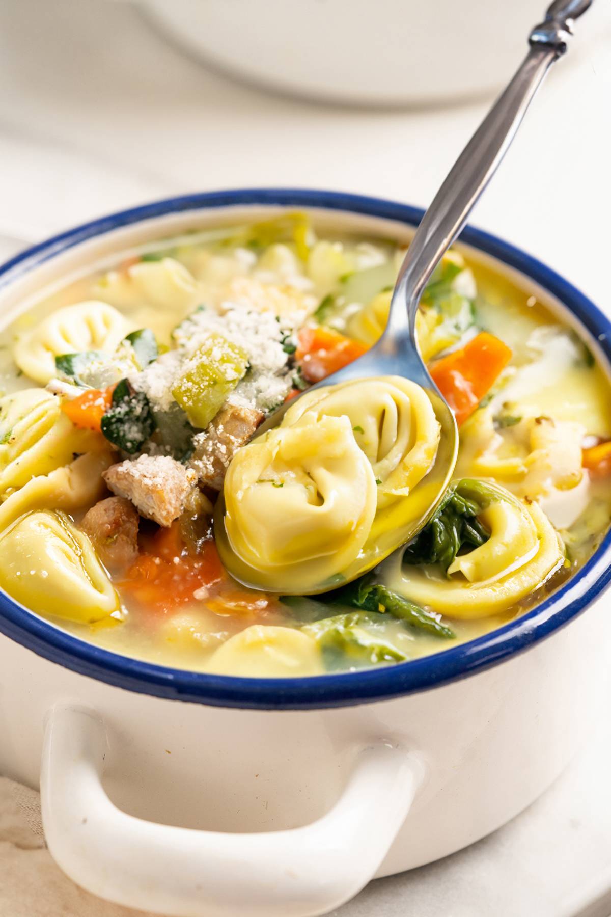 delicious bowl of tortellini chicken soup with vegetables