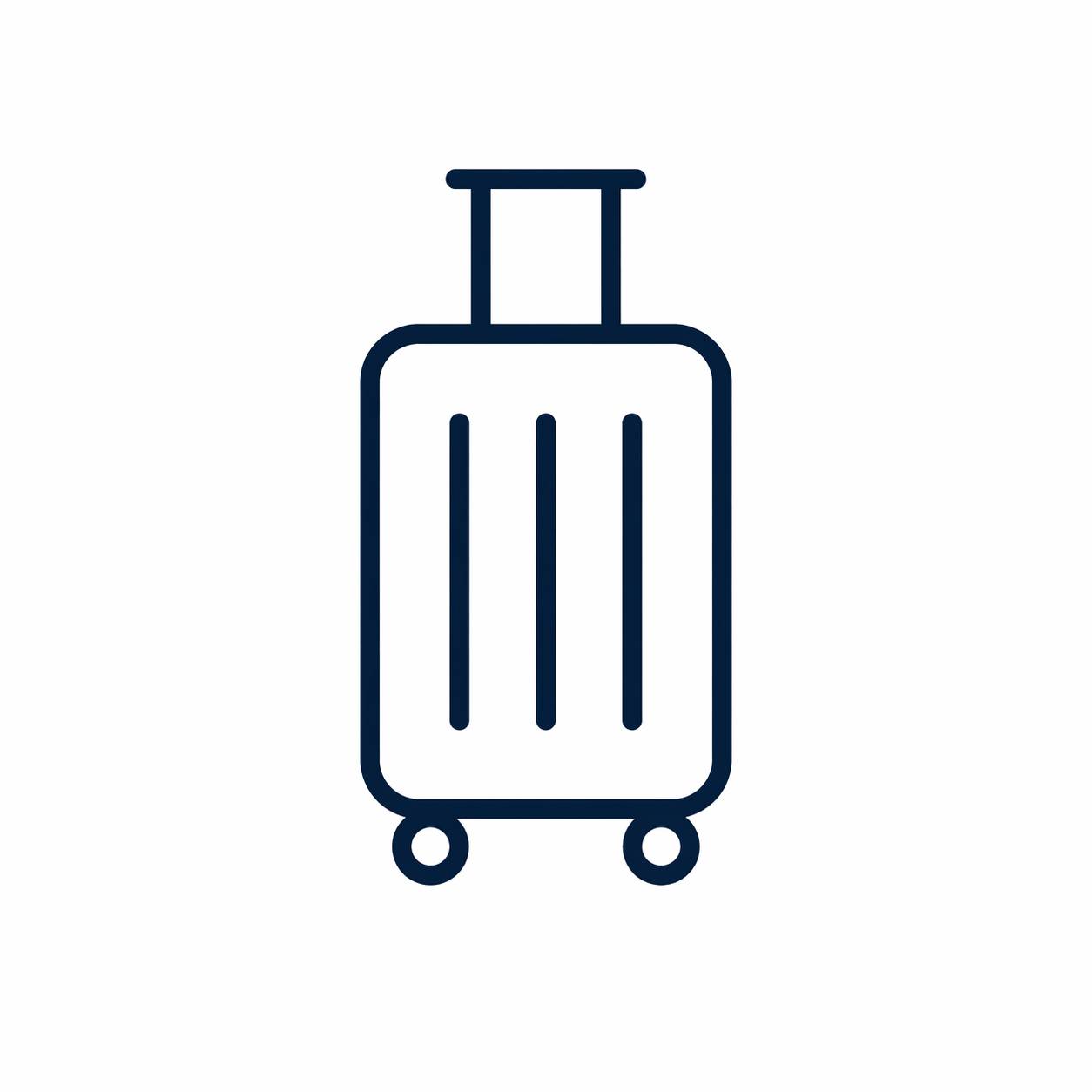 One Checked Bag Favicon