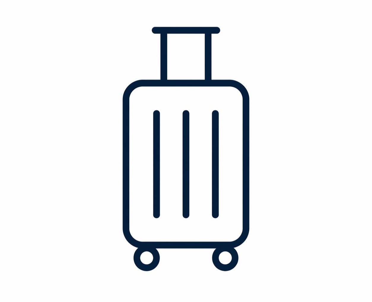 One Checked Bag Favicon