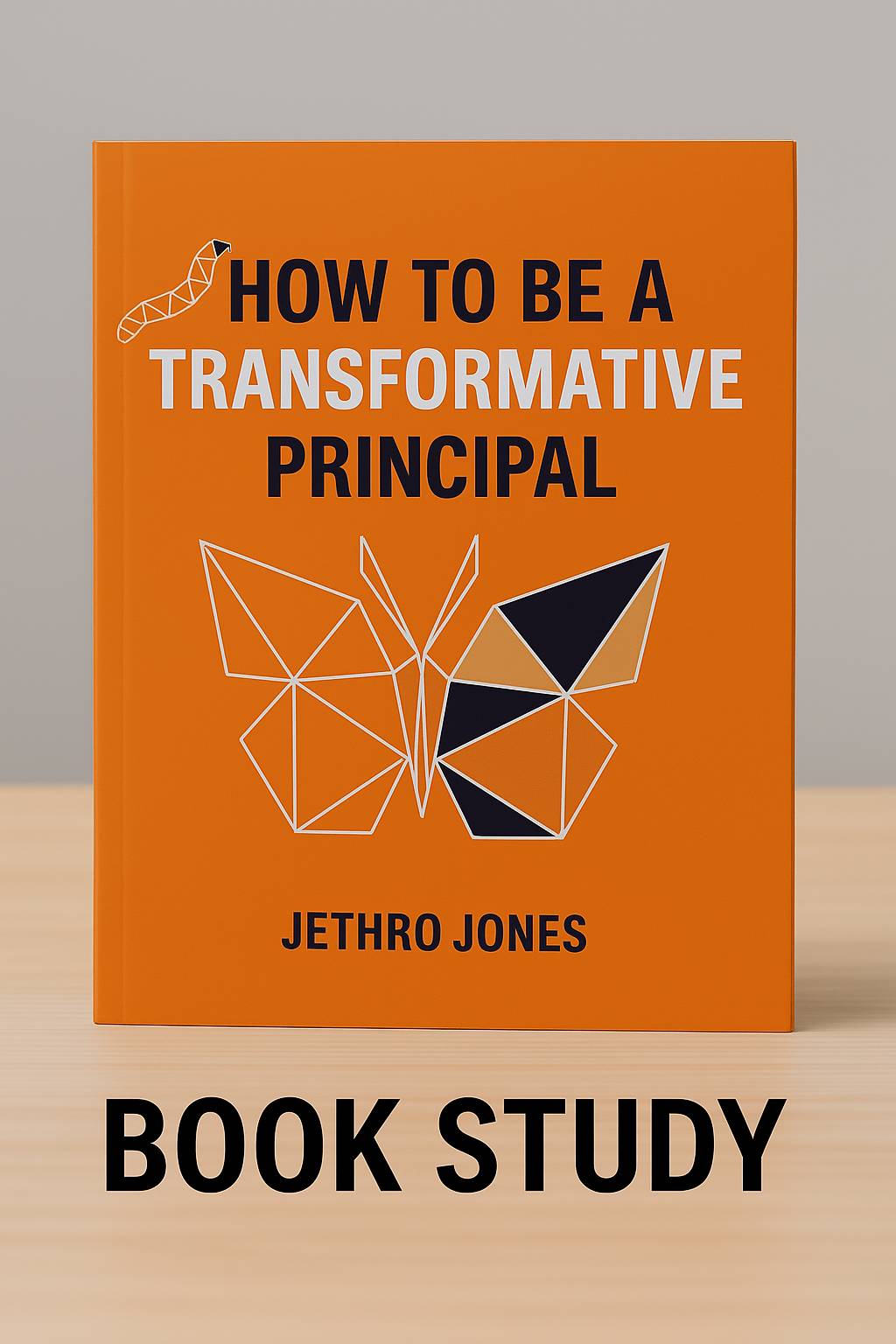 How to be a Transformative Principal Book Study