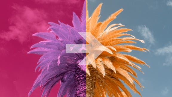 Lightroom Infrared Color Swap Profiles