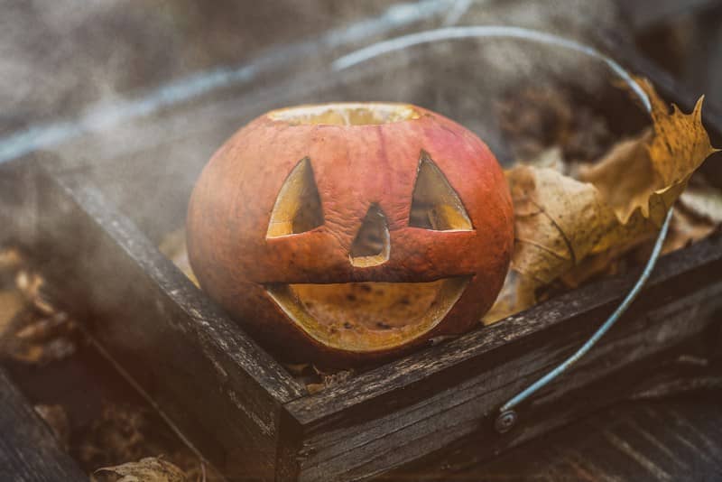 A carved jack-o-lantern in a rustic wooden box with autumn leaves